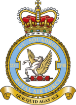 Squadron badge