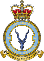 Squadron badge