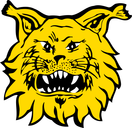 Fichier:Ilves Tampere.png