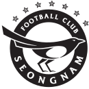 Logo du Seongnam FC