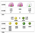 2004년 8월 23일 (월) 20:27 판의 섬네일