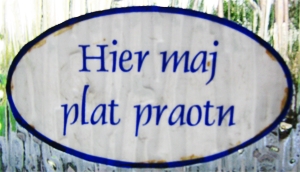 Bestaand:Hiermajplatpraotn.jpg