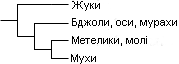 Файл:Cladogram-example1-ukr.gif