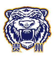 贵州森航 logo