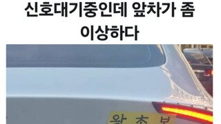 신호 대기중인데 앞차가 이상하다