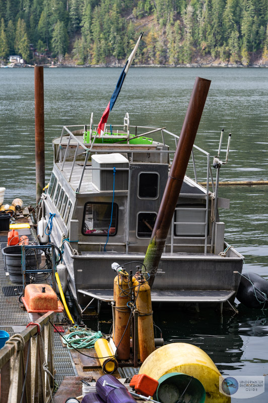 Diving with Porpoise Bay Charters