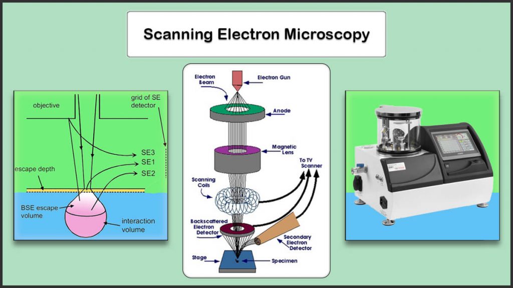 Scanning Electron Microscope (SEM)