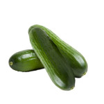 Cucumber