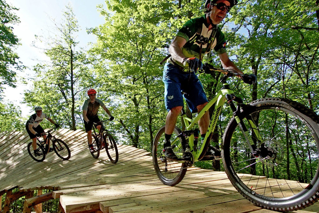 Three bikers on a mountain bike trail