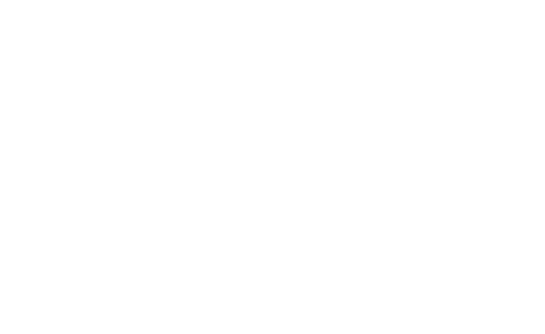 Visit Detroit Lakes logo