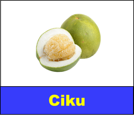 Ciku