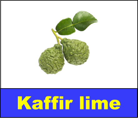 Kaffir lime