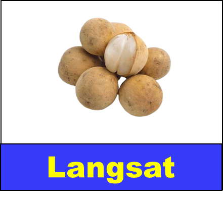 Langsat