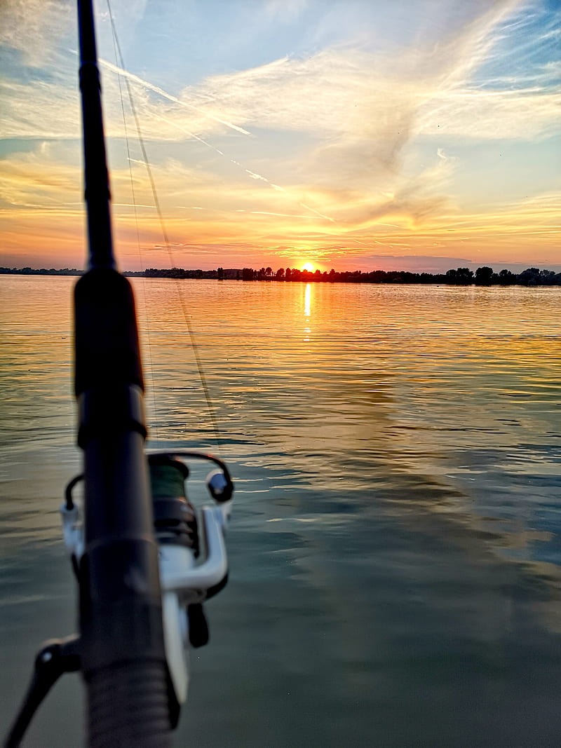 Fishing, nature, HD phone wallpaper