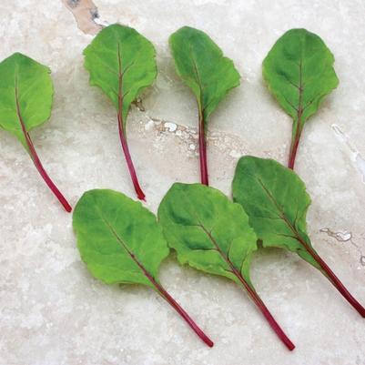 Beet Greens Fresh Start