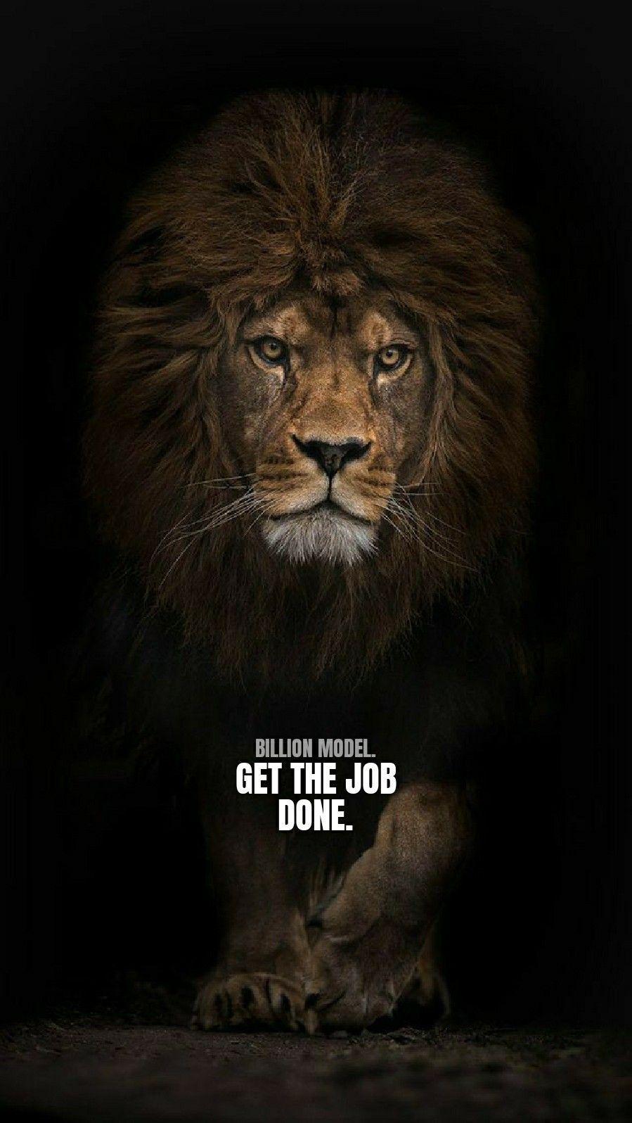 Full 4K Collection of Amazing Lion Quote Images: Over 999+ Inspiring ...