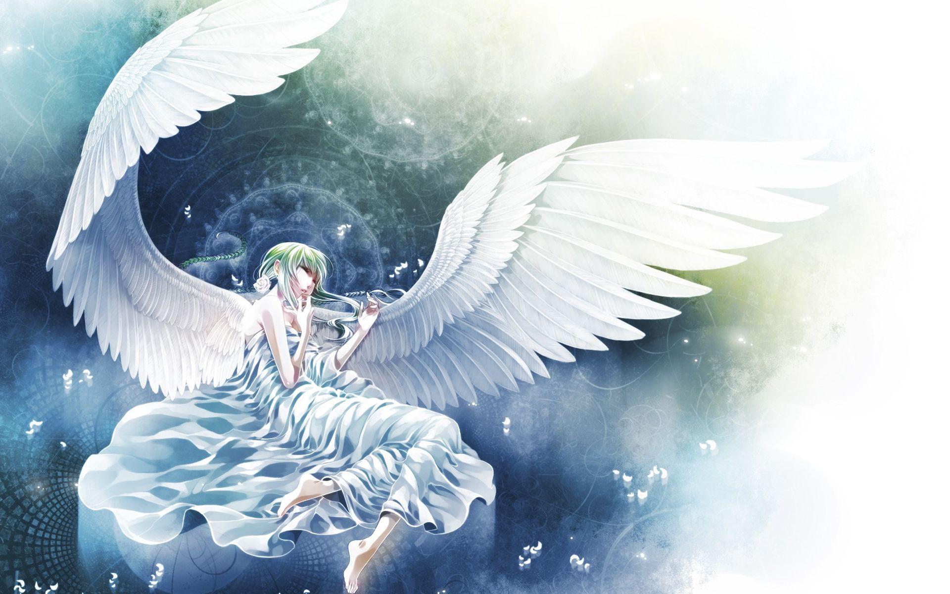 Male Anime Angel Png Transparent Png  Transparent Png Image  PNGitem