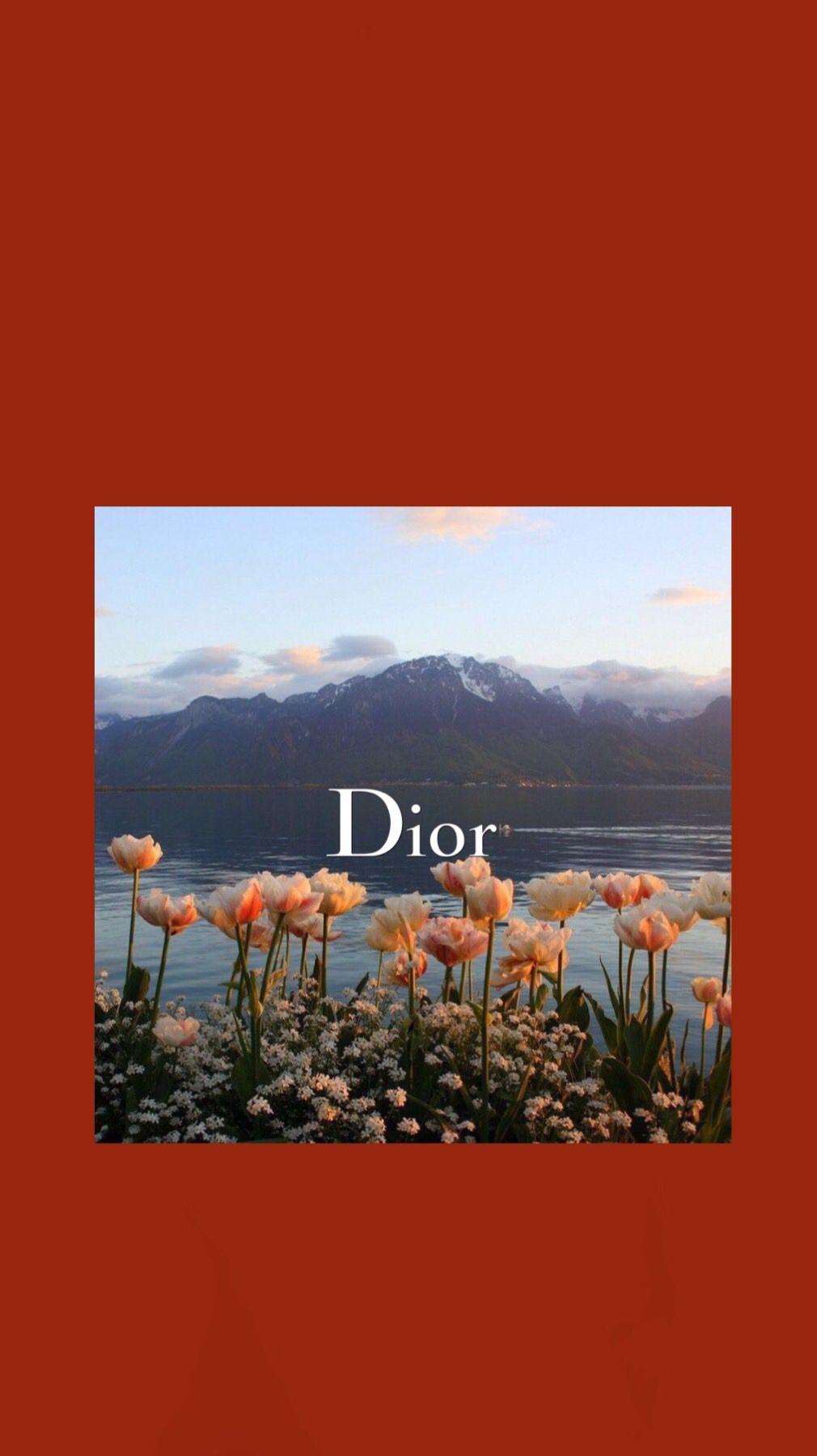 Dior Aesthetic Wallpapers  Top Free Dior Aesthetic Backgrounds   WallpaperAccess