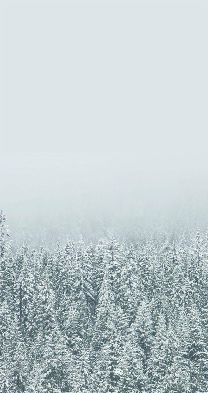 Winter Aesthetic Wallpapers For Phone  Snow and Pine Tree I Take You   Wedding Readings  Wedding Ideas  Wedding Dresses  Wedding Theme