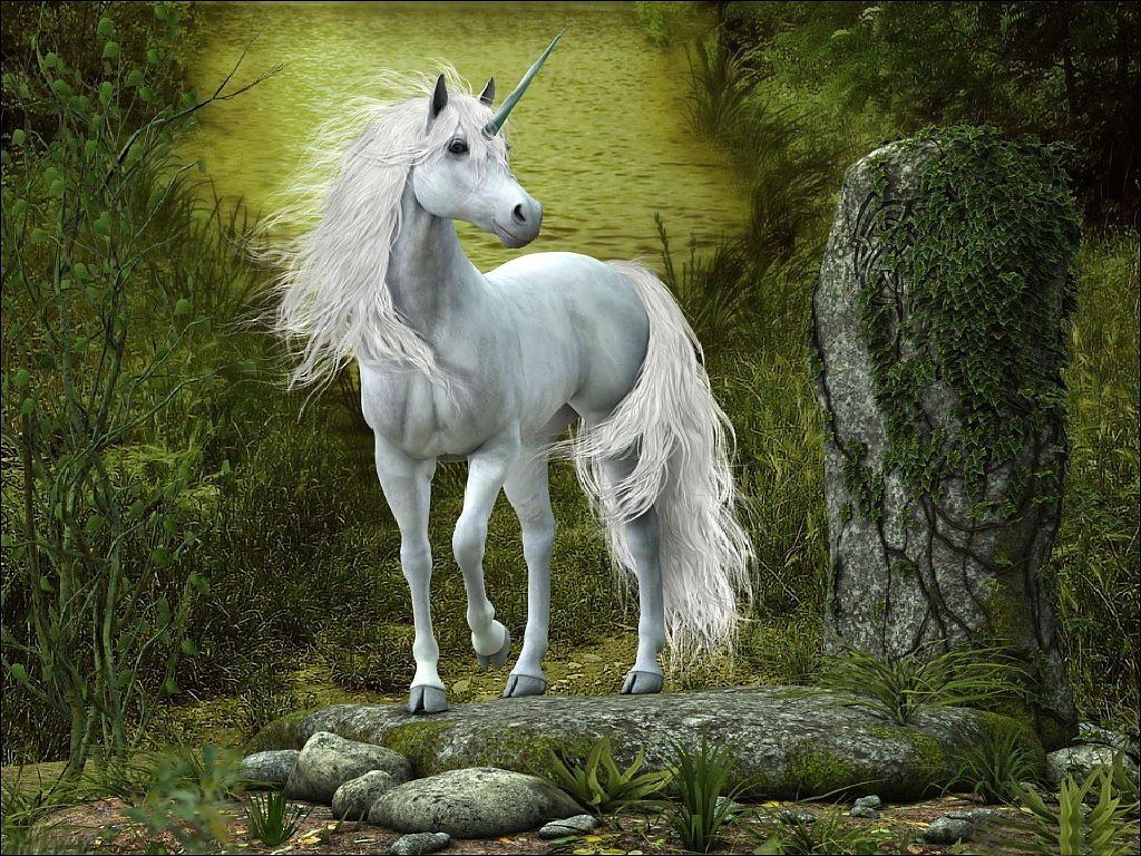 Are Unicorns Real In 2024 - Jany Roanne