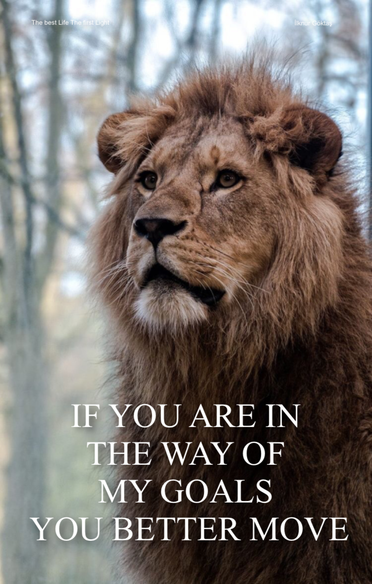 817 Wallpaper Lion Quotes free Download - MyWeb