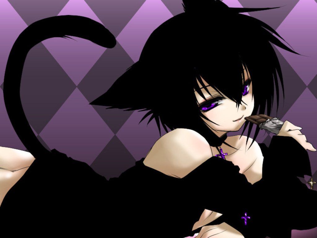 20 Anime Black Cat HD Wallpapers and Backgrounds