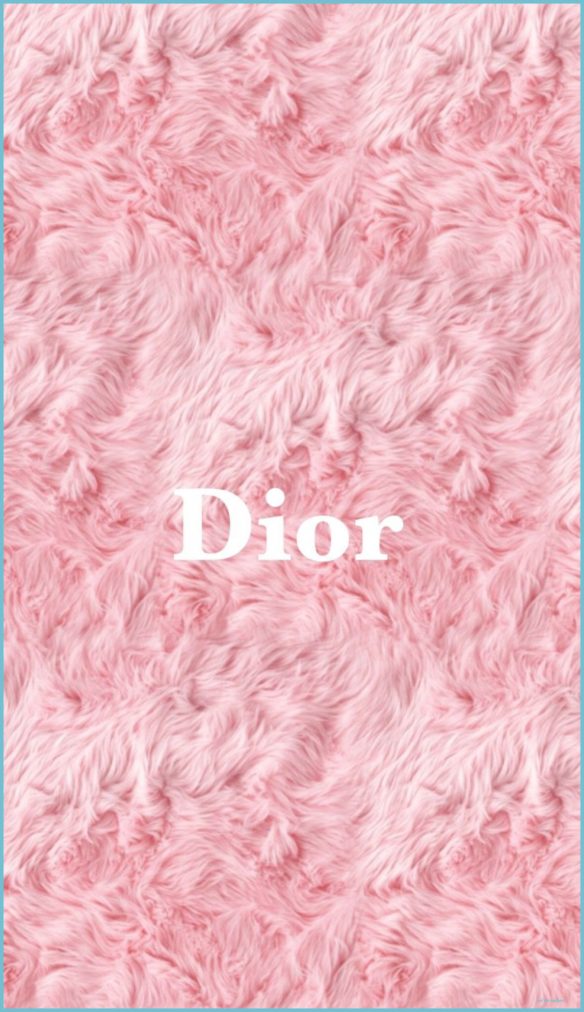 Download Dior Aesthetic Pink Rose Wallpaper  Wallpaperscom