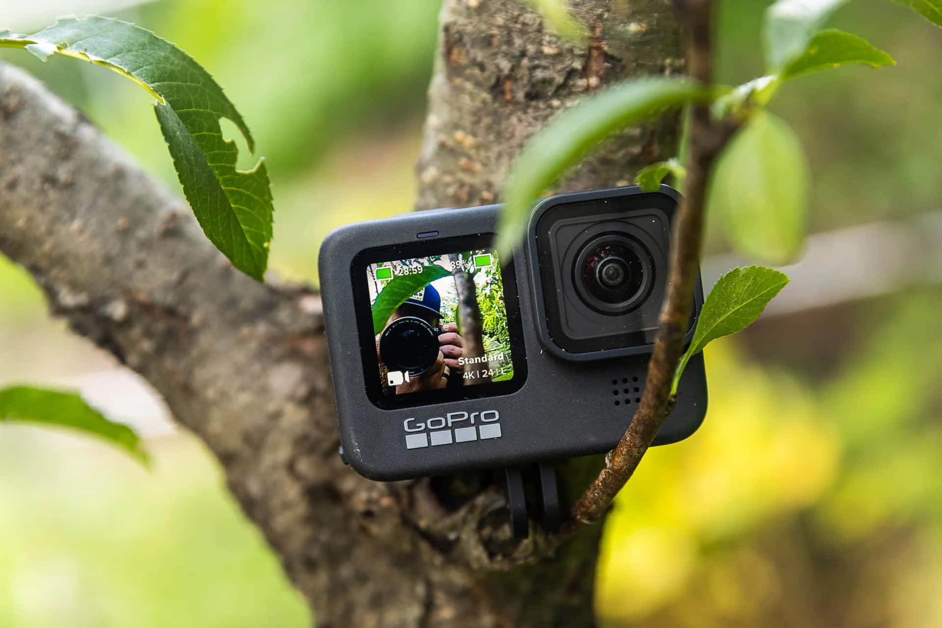 Gopro Bilder