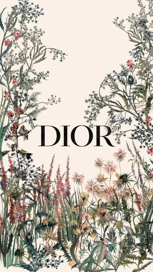 Aesthetic Vogue Dior Aesthetic HD phone wallpaper  Pxfuel