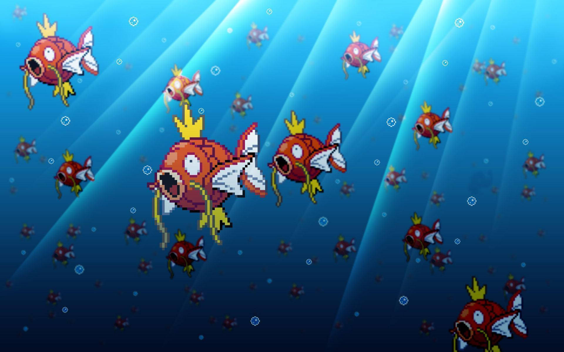 Magikarp Sfondo