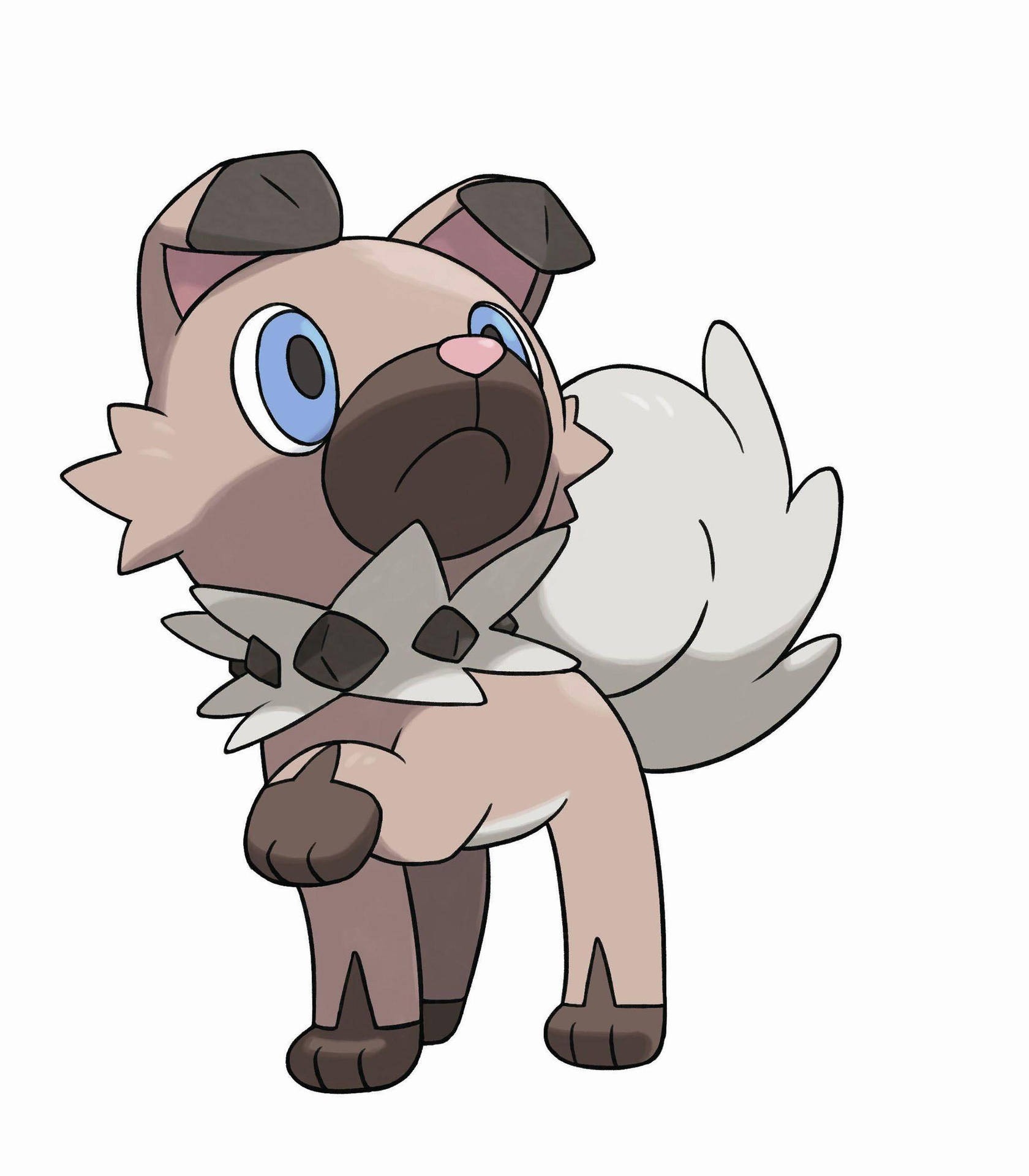 Rockruff Wallpaper