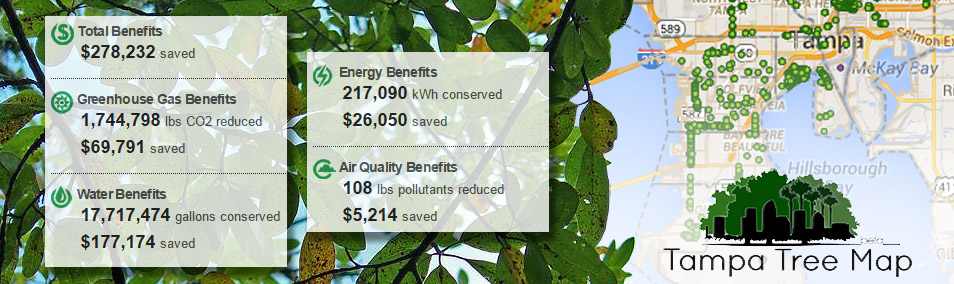 Mapping Tampa and USF's trees and growing a green future together.