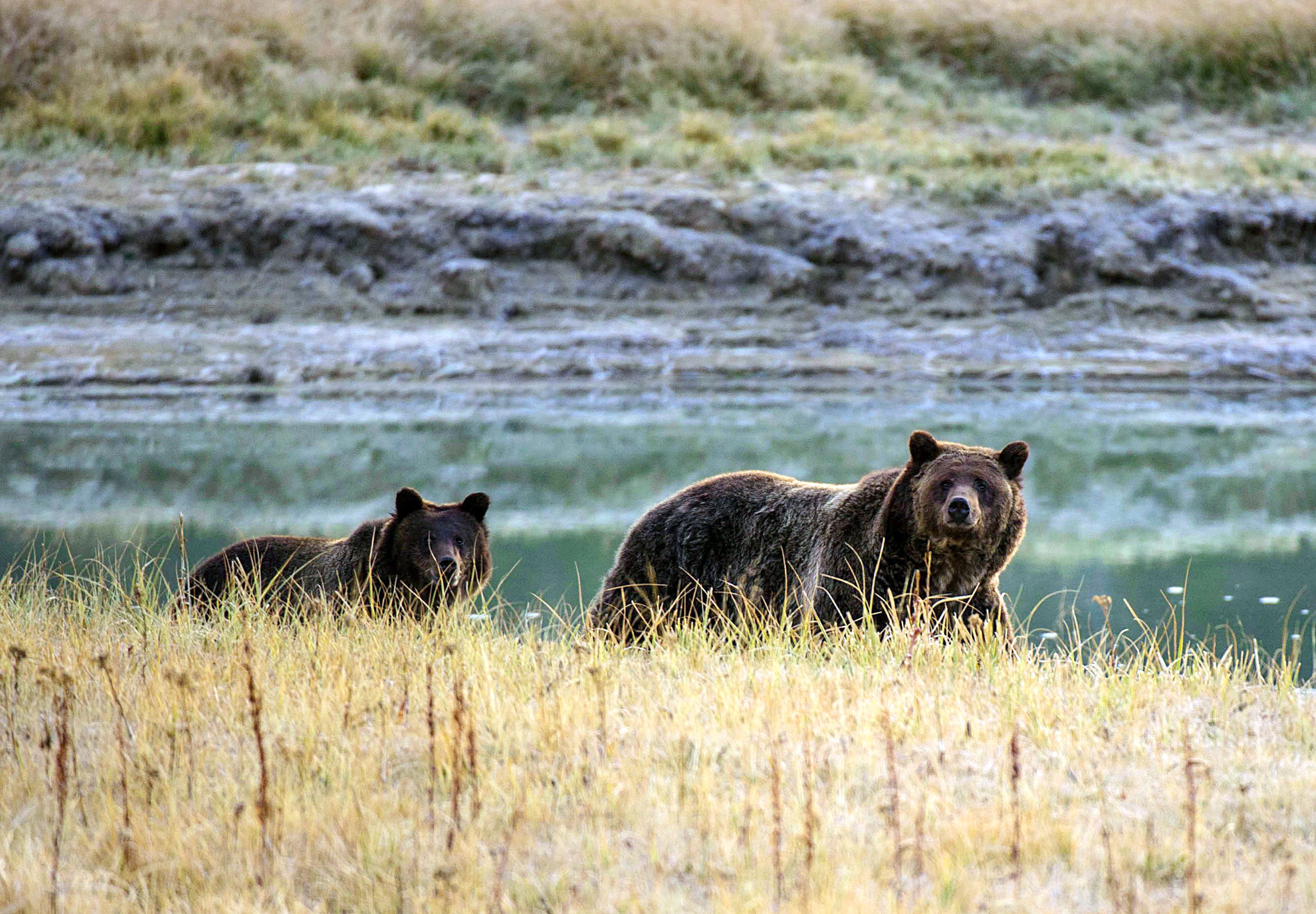 US-PARKS-YELLOSTONE NATIONAL PARK