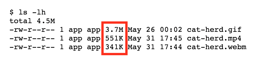 Confronto delle dimensioni dei file che mostra 3,7 MB per la GIF, 551 KB per il file mp4 e 341 KB per il webm.