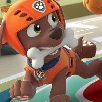 Paw Patrol Zuma