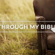 Through My Bible Yr 01 – October 05