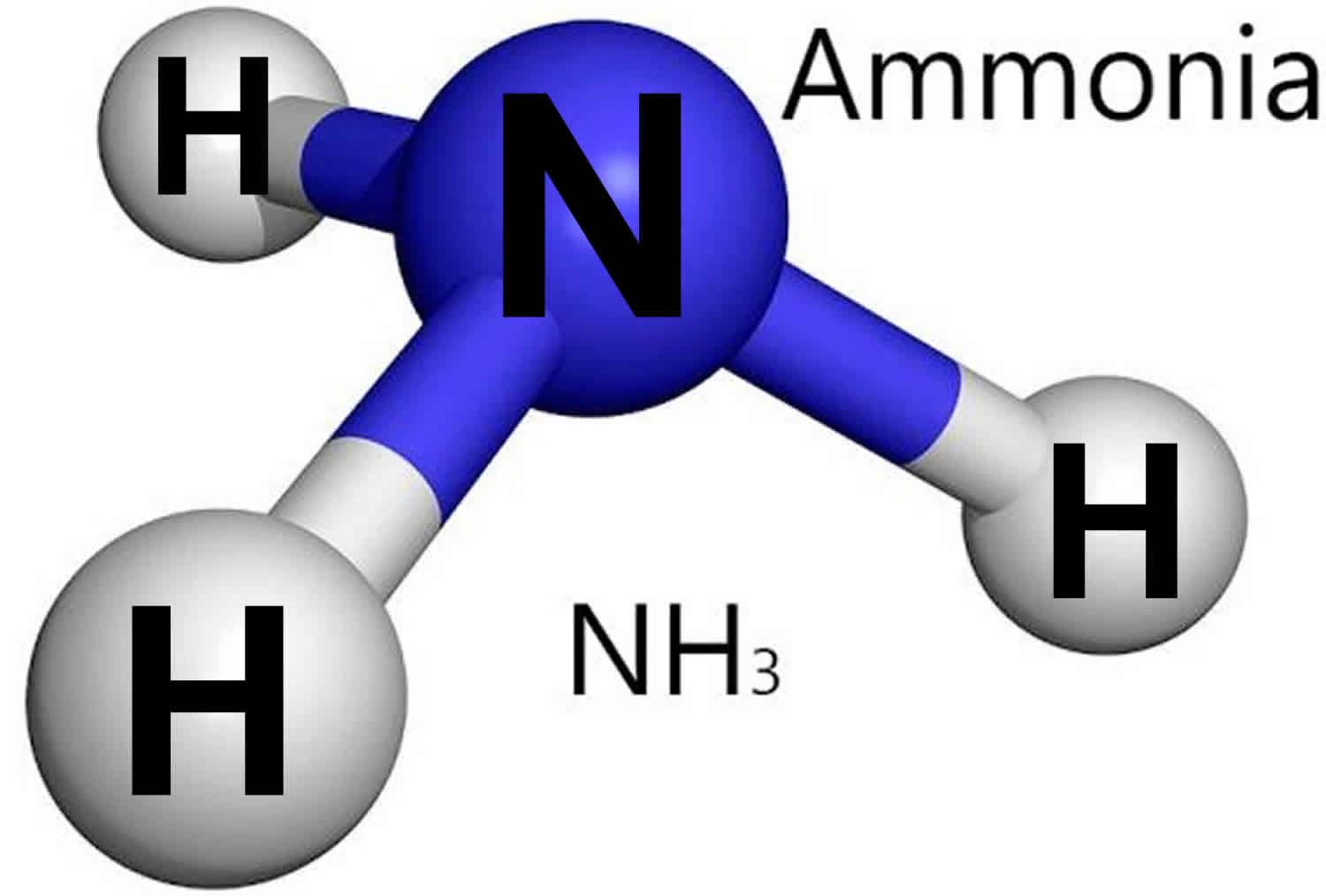 ammonia