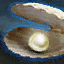 Quaggan's Pearl.png