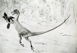 Recreación de un Ornitholestes cazando a un Archaeopteryx, de Charles Knight (circa 1910)