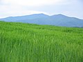 Mountain Jastrebac seen from Golovode