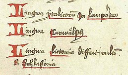 Lithuanian (Lingwa Lietowia) was mentioned as one of the languages of the participants of the Council of Constance in a 15th century chronicle by Ulrich of Richenthal.