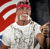 Hulk Hogan and The Rock are six-time winners of the category.