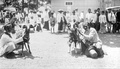 Goat fights in Garut (1921)