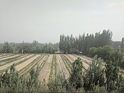 Farmland of Hotan County near the city