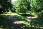 Dauphin Island Mound