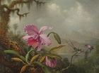 Orchids and Hummingbirds, 1875–1890