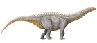 Barapasaurus tagorei