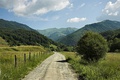 Maramureș Mountains Natural Park