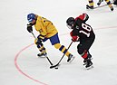 Winter sports: Ice hockey; Para ice hockey; Bandy