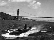 Halibut in San Francisco in the 1970s